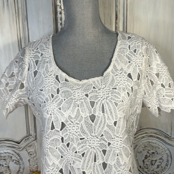 Japna Cotton Blend Heavy White Lace High Neck Short Sleeve Top Size Size Med - Picture 2 of 10